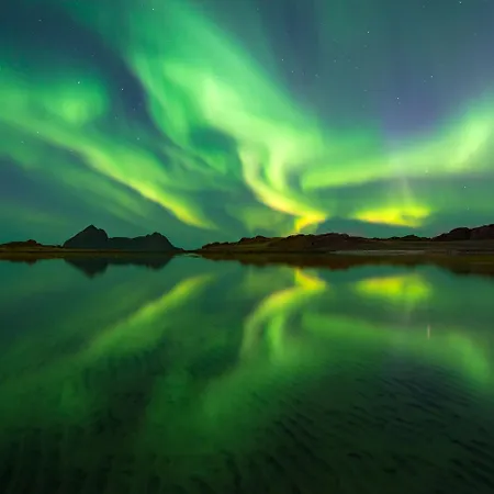 Arctic Retreat, Whales, Northern Lights & Lofoten