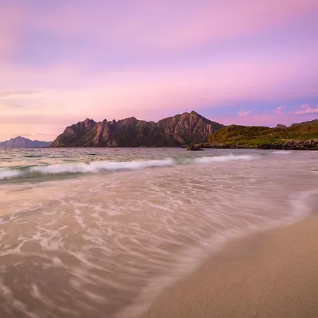 Arctic Retreat, Whales, Northern Lights & Lofoten