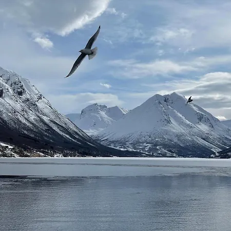 Dom wakacyjny Arctic Retreat, Whales, Northern Lights & Lofoten Bo (Nordland)